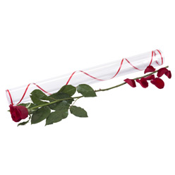 Ankara Ayaş çiçekçi satışı sitemizden harika görüntülü 1 adet kırmızı gül