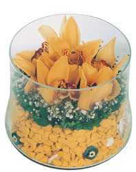 Ankara Ayaş çiçekçilik görsel çiçek modeli firmamızdan vazo içerisinde 5 adet kandil orkide