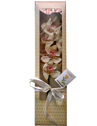 özel kutu içerisinde tek dal orkide çiçeği Ostim çiçekçi firması ürünümüz