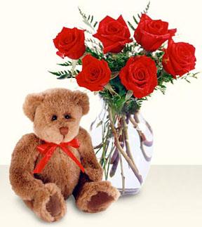 Ankara Ayaş çiçek siparişi gönderme firmamızdan size özel cam içerisinde 6 adet kırmızı gül ve oyuncak