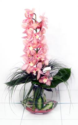 Ankara Ayaş çiçek gönder firması şahane ürünümüz cam içerisinde tek dal kesme orkide çiçeği