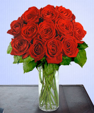 Ankara Ayaş çiçek gönder firmamızdan görsel ürün cam içerisinde 13 adet kırmızı gül