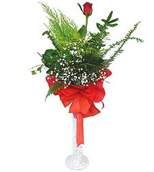 Ankara Ayaş Elvankent Çiçekçi firması ürünümüz En çok satılan ürün masum tek gül Ankara çiçek gönder firması şahane ürünümüz