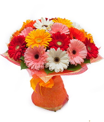 25 adet renkli gerbera buketi Ankara anneler günü çiçek yolla